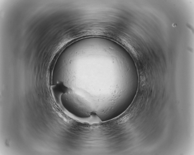 X0000093381035200710251212