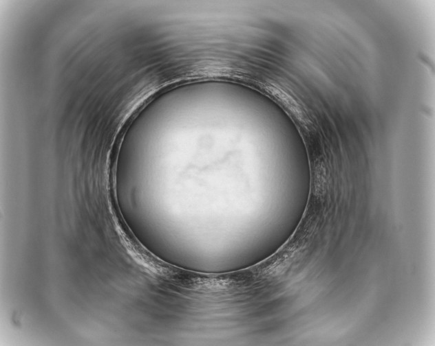 X0000093381039200710251212