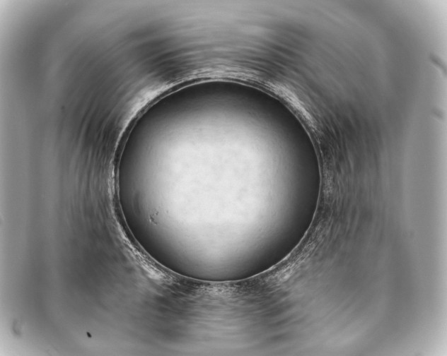 X0000093381040200710251212