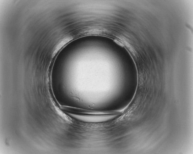 X0000093381042200710251212