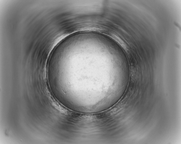 X0000093381044200710251212