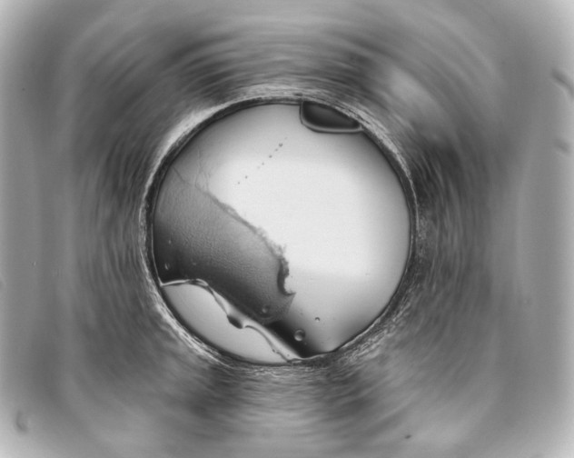 X0000093381045200710251212