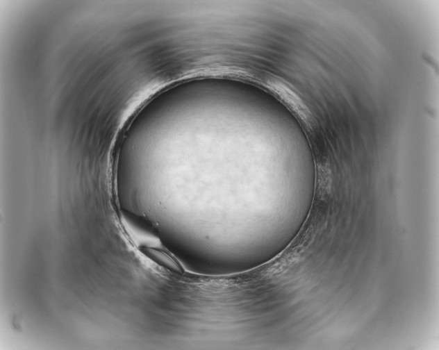 X0000093381046200710251212