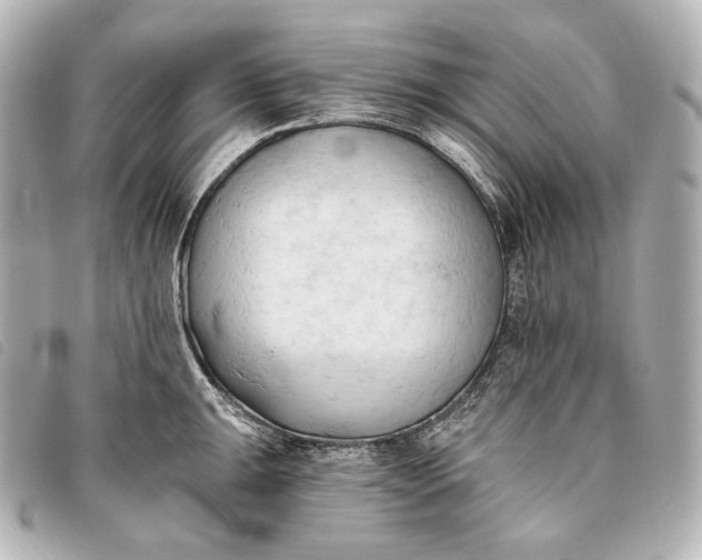 X0000093381047200710251212