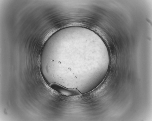 X0000093381049200710251212