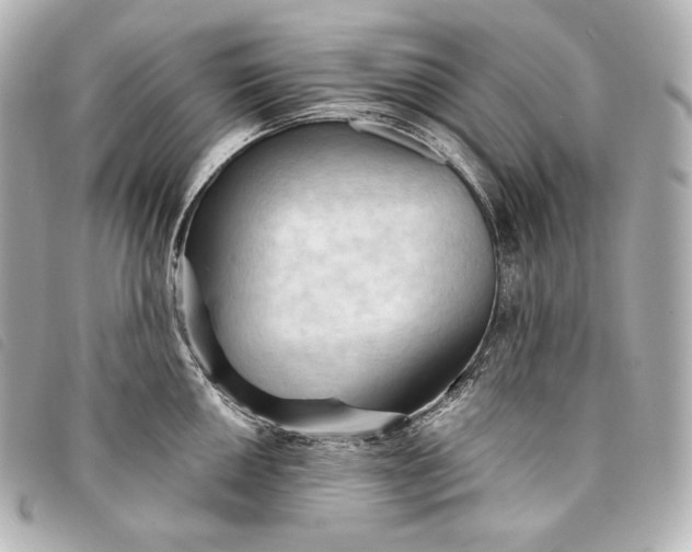 X0000093381050200710251212