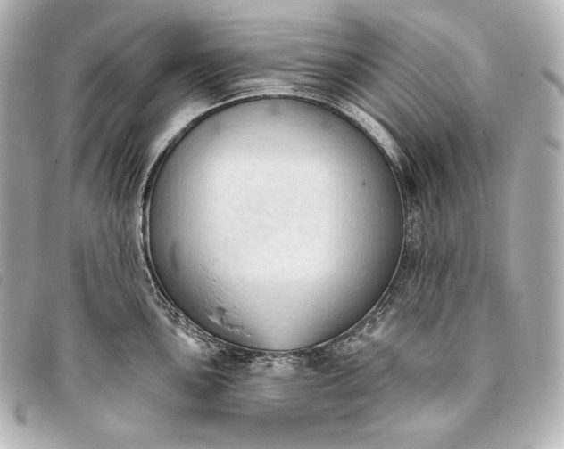 X0000093381051200710251212