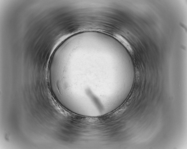 X0000093381052200710251212