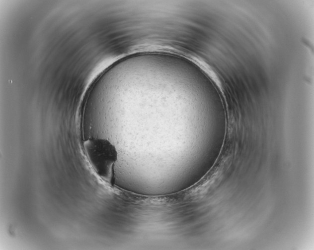 X0000093381053200710251212