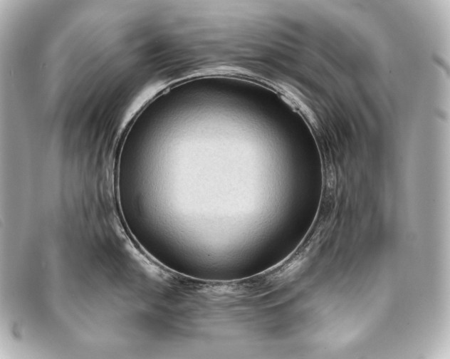 X0000093381054200710251212