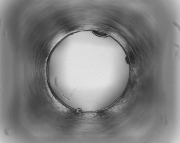 X0000093381055200710251212