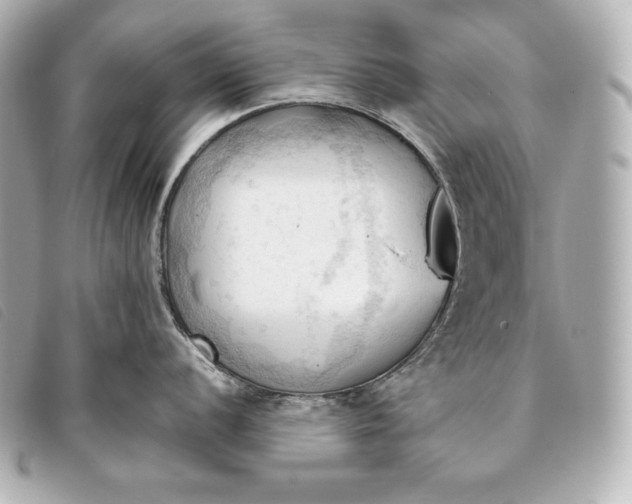 X0000093381056200710251212