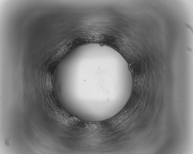 X0000093381058200710251211