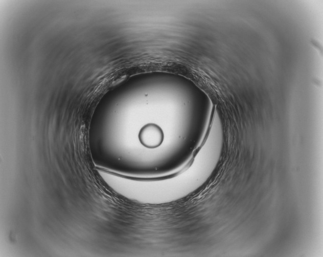 X0000093381059200710251211