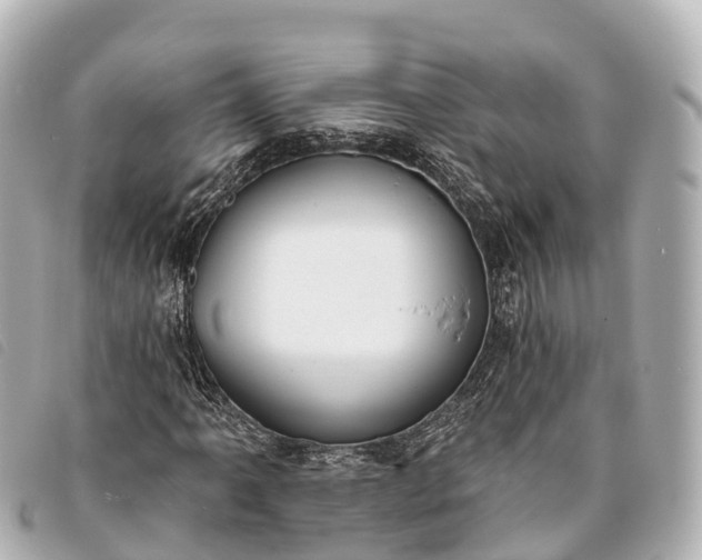 X0000093381061200710251211