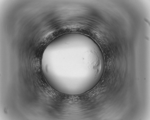 X0000093381062200710251211