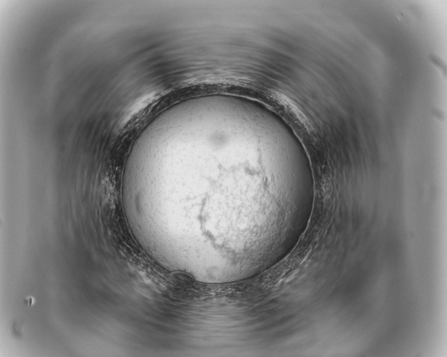 X0000093381064200710251211