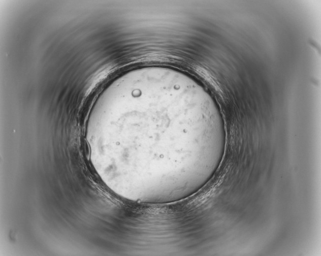 X0000093381067200710251211