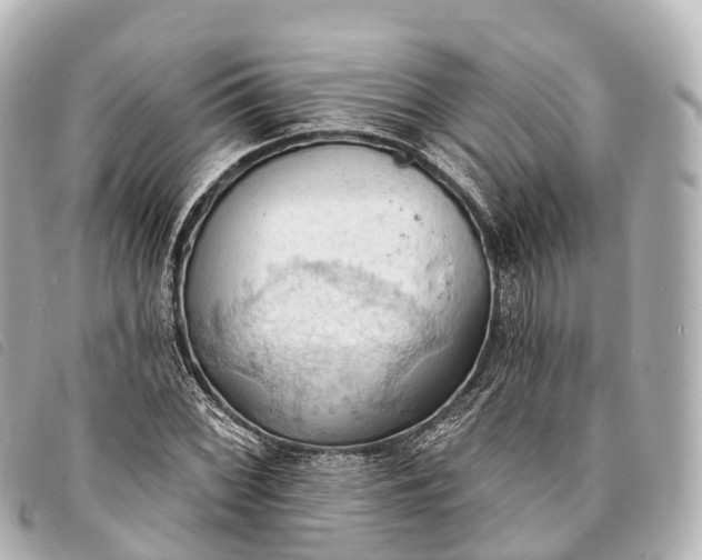 X0000093381068200710251211