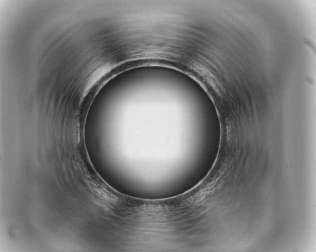 X0000093381069200710251211