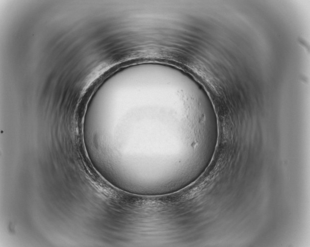 X0000093381070200710251211