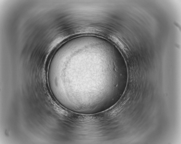 X0000093381072200710251211