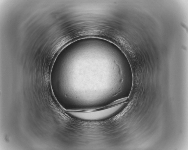 X0000093381073200710251211