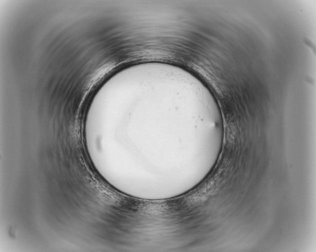 X0000093381074200710251211