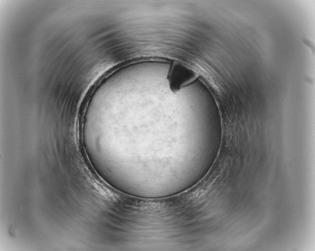 X0000093381076200710251211