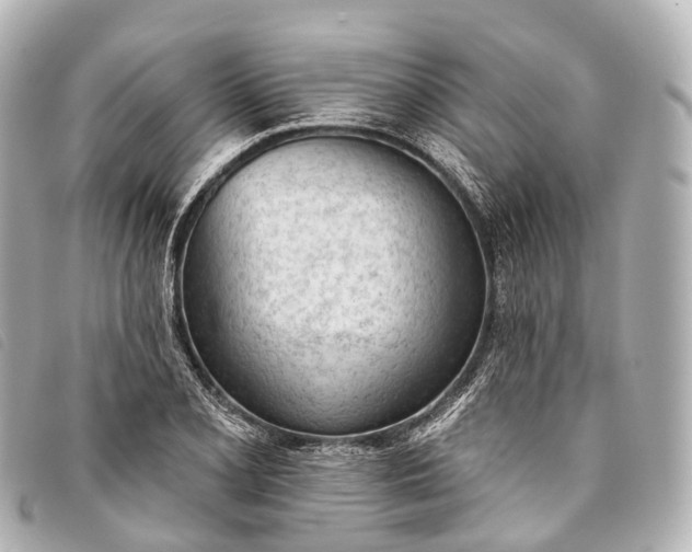 X0000093381077200710251211