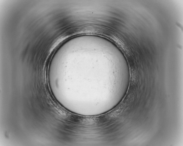 X0000093381078200710251211