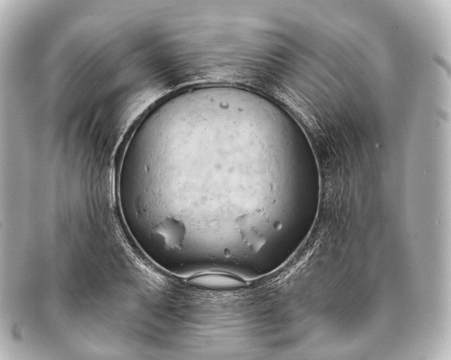 X0000093381079200710251211