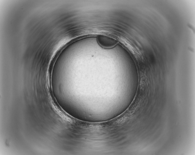 X0000093381080200710251211