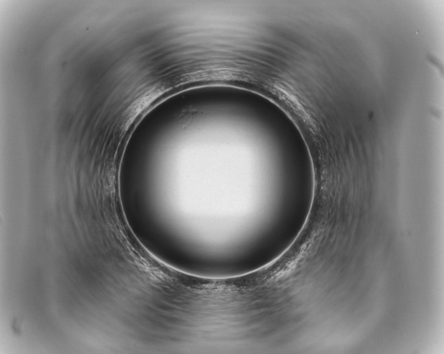 X0000093381081200710251211