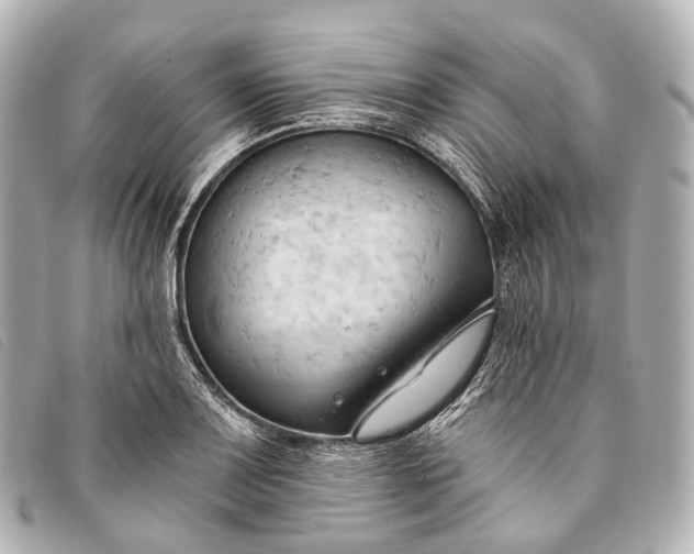 X0000093381083200710251211