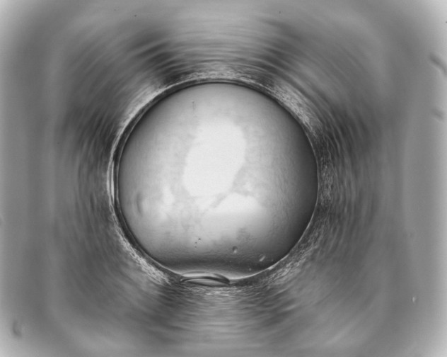 X0000093381084200710251211