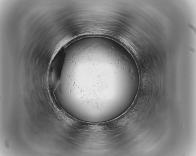 X0000093381085200710251211