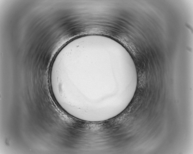 X0000093381086200710251211