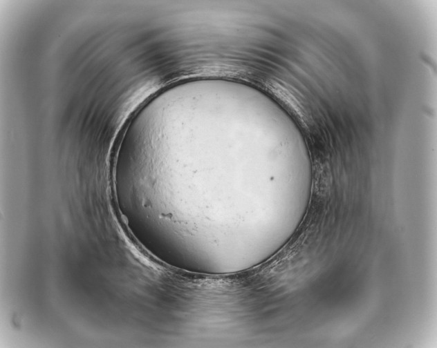 X0000093381087200710251211