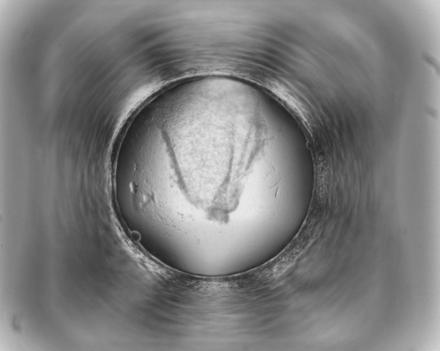 X0000093381088200710251211