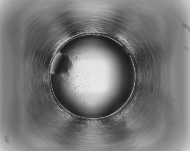 X0000093381089200710251211