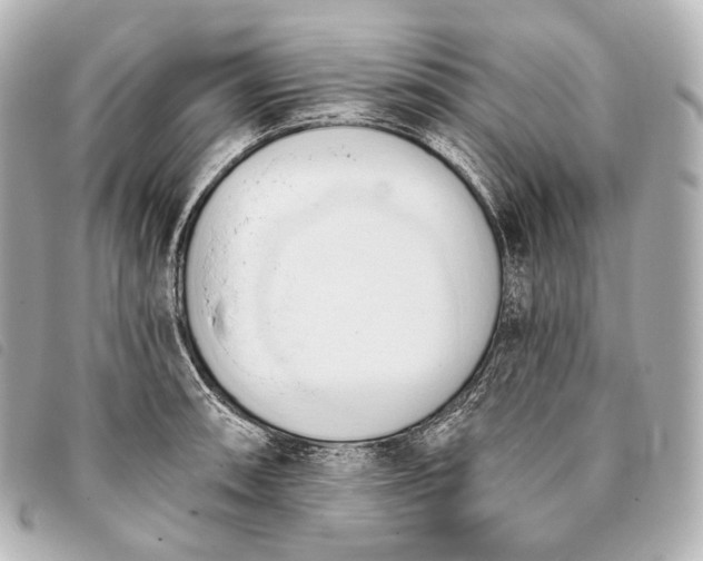 X0000093381090200710251211