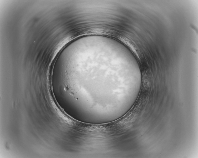 X0000093381091200710251211