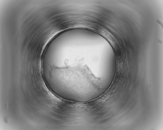 X0000093381092200710251211