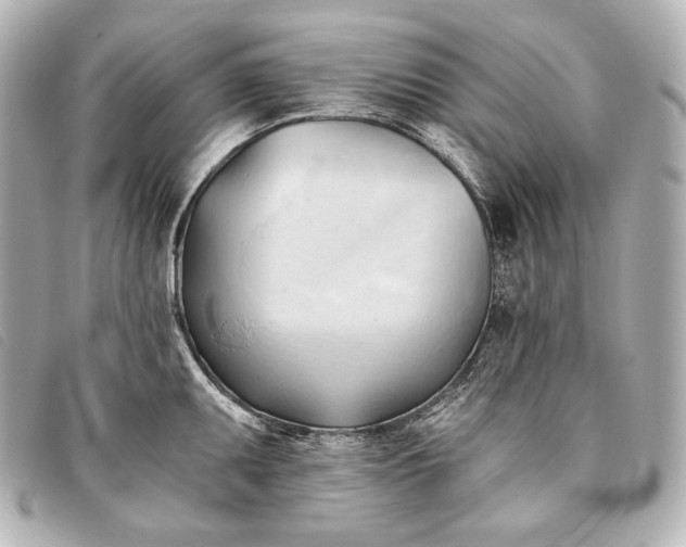 X0000093381095200710251211