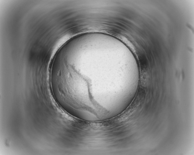 X0000093381096200710251211