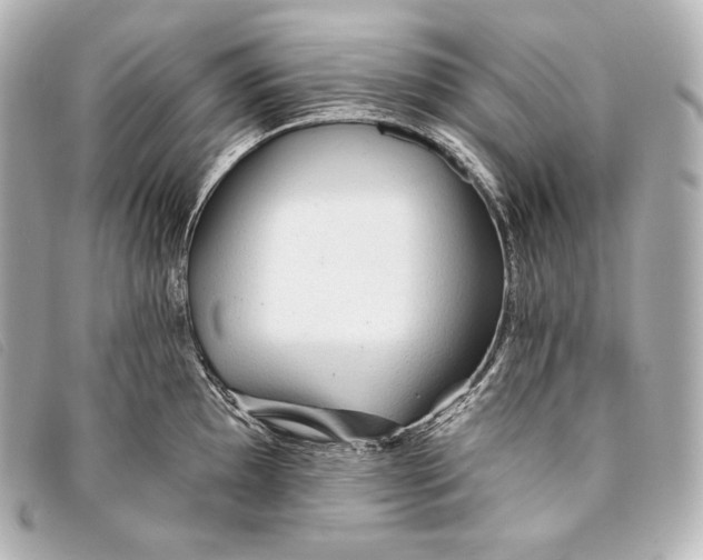 X0000093381097200710251211