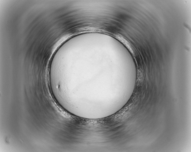 X0000093381098200710251211