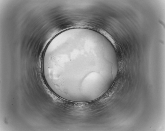 X0000093381099200710251211