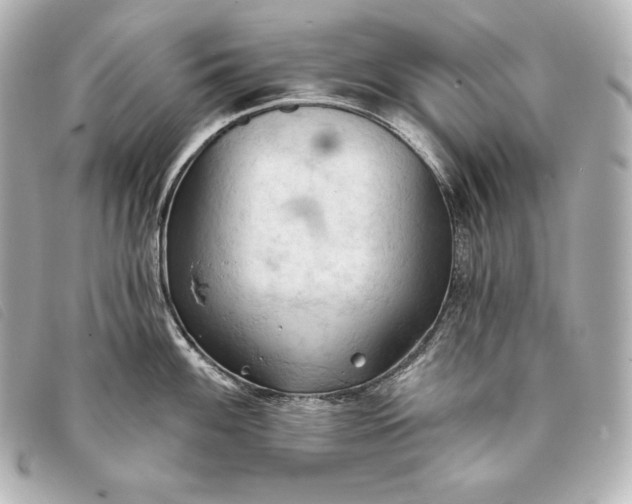 X0000093381100200710251211